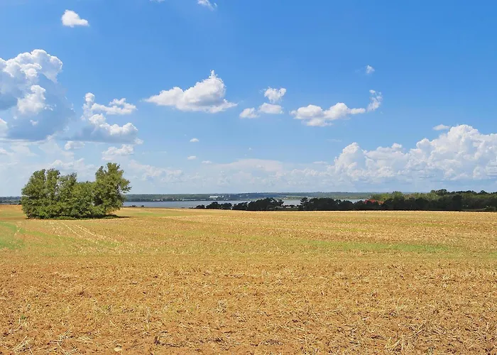 Ferienwohnung Meesiger 아파트